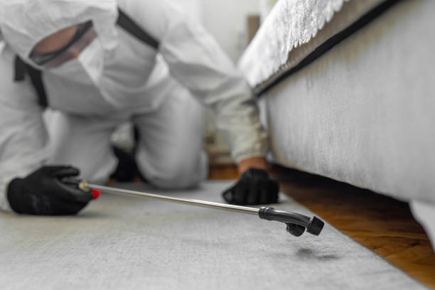 Professional Termite Control technician working in Midway, AR