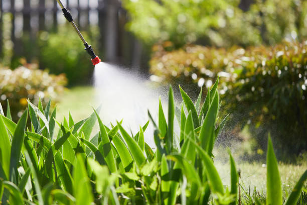 24/7 Emergency Termite Control experts in Midway, AR
