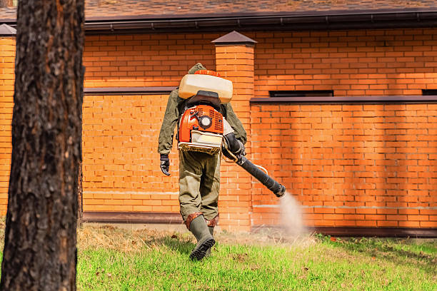 Top rated local Termite Control specialists in Midway, AR